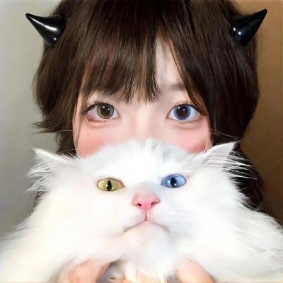 猫头鹰市中心